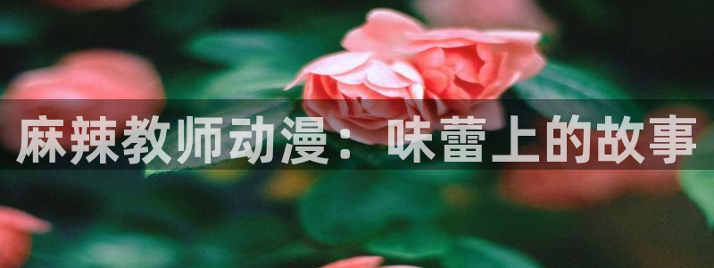 乱马2分之1樱花动漫：麻辣教师动漫：味蕾上的故事