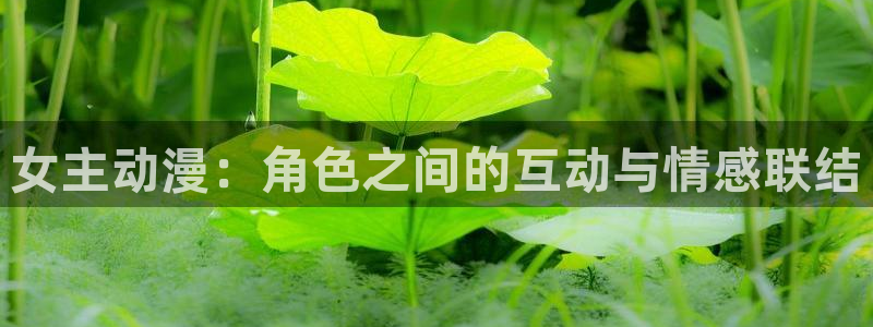 甲贺忍法帖樱花动漫：女主动漫：角色之间的互动与情感联结