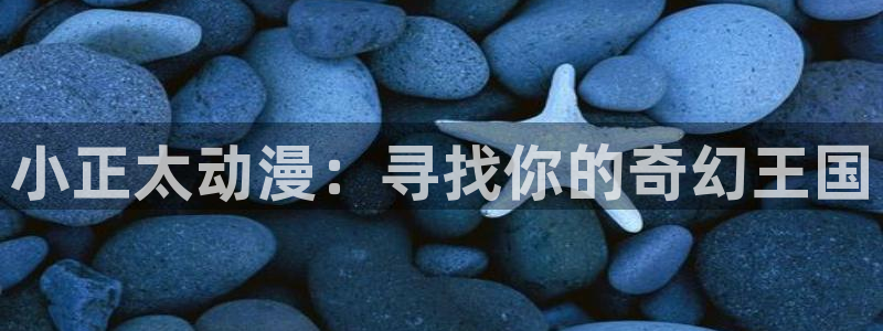 石纪元第三季樱花动漫：小正太动漫：寻找你的奇幻王国